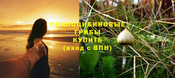 твердый Алексеевка