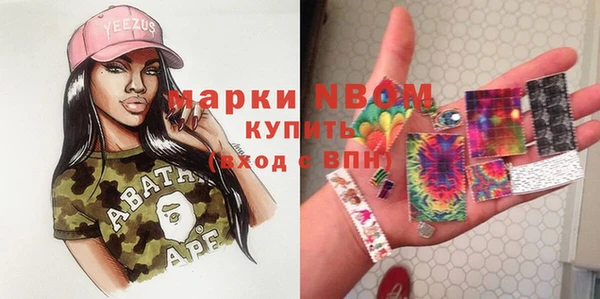 хмурый Алексин