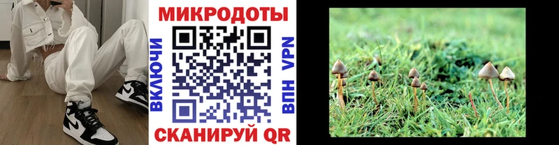 гидра tor  Спас-Клепики  Псилоцибиновые грибы Magic Shrooms 